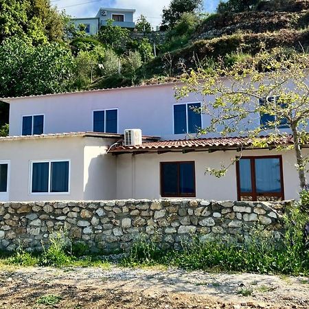 Residence Villa Denny&Villa Kate Borş Dış mekan fotoğraf
