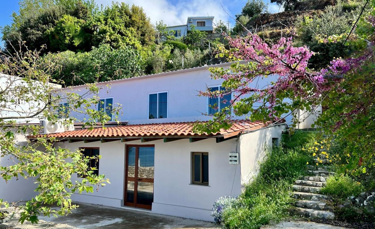 Residence Villa Denny&Villa Kate Borş Dış mekan fotoğraf
